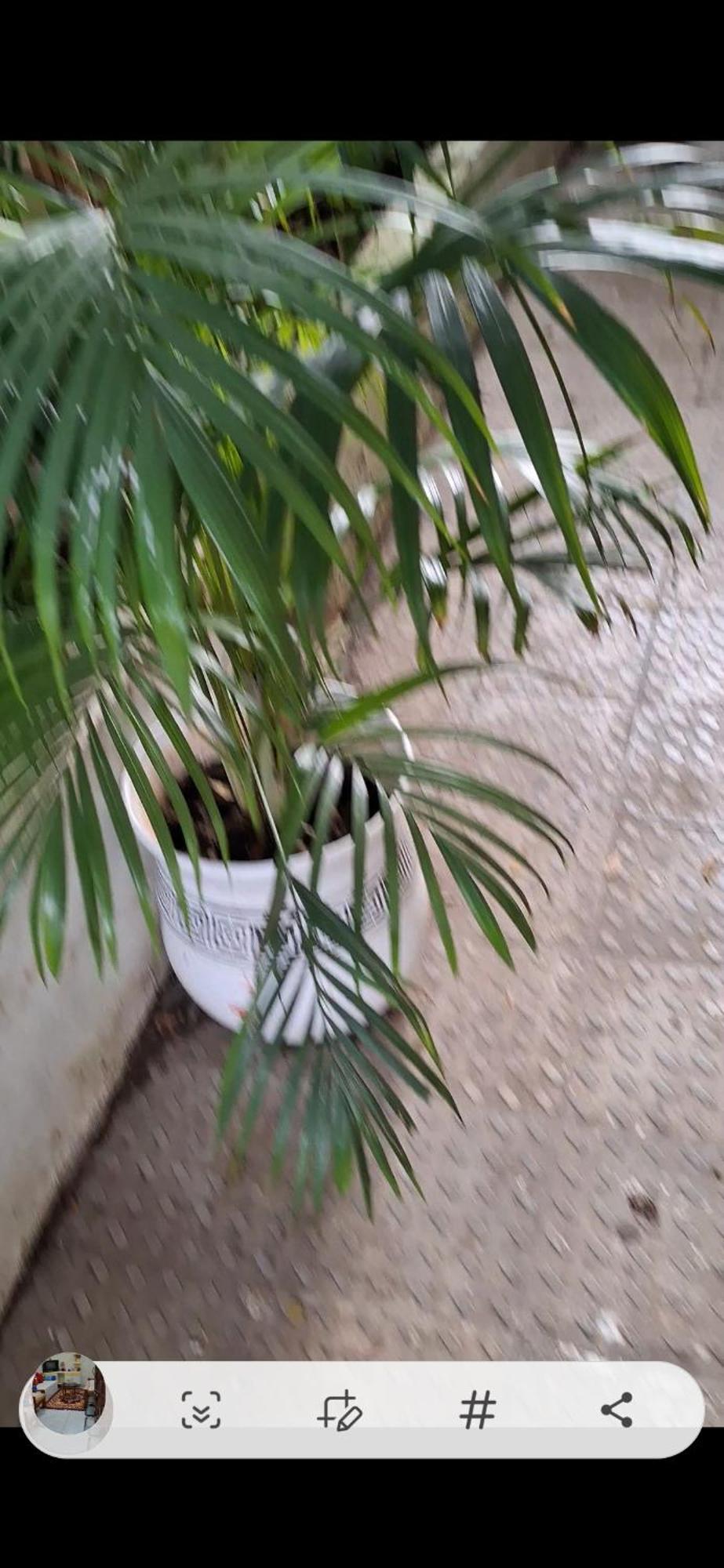 2Bhk Chandra Jyoti Villa Nit Garden Nagpur Luaran gambar