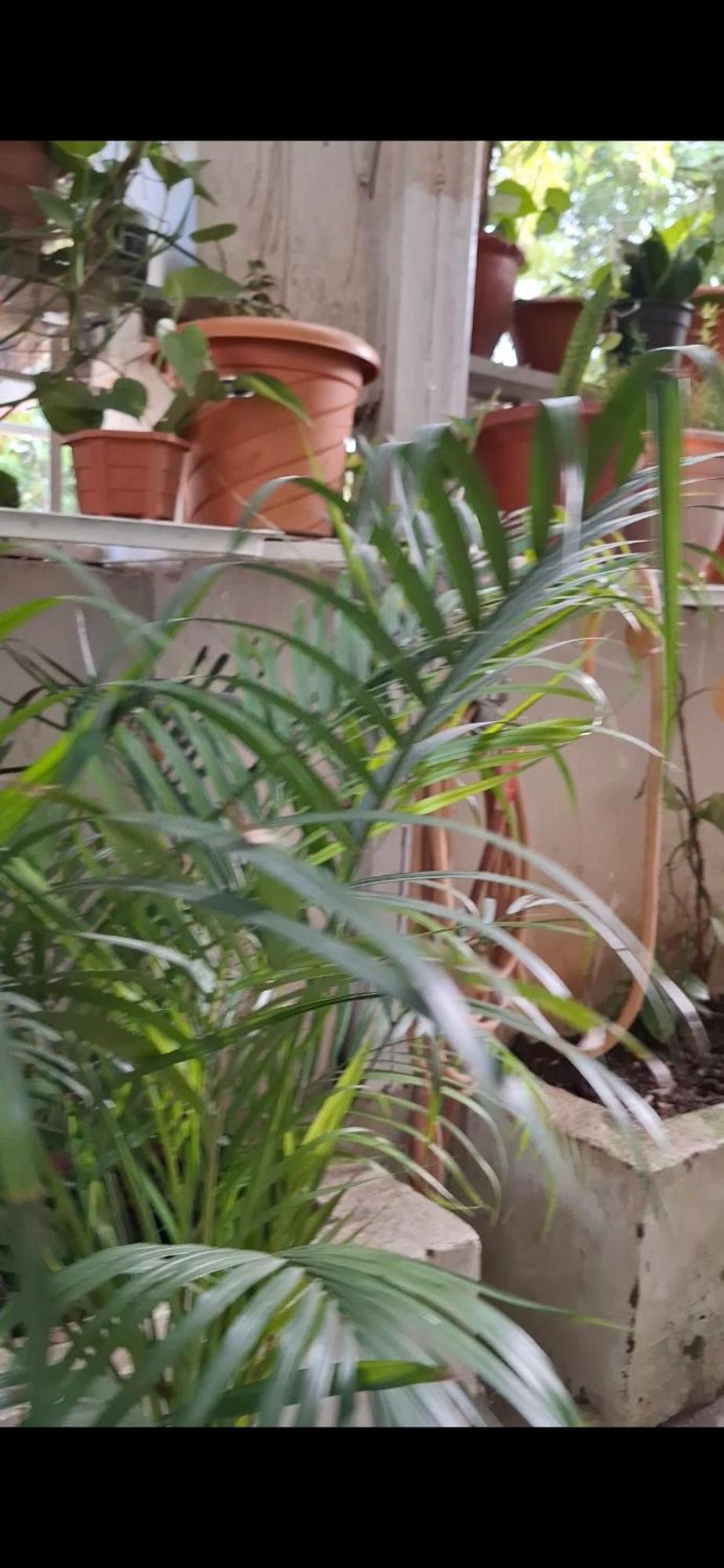 2Bhk Chandra Jyoti Villa Nit Garden Nagpur Luaran gambar