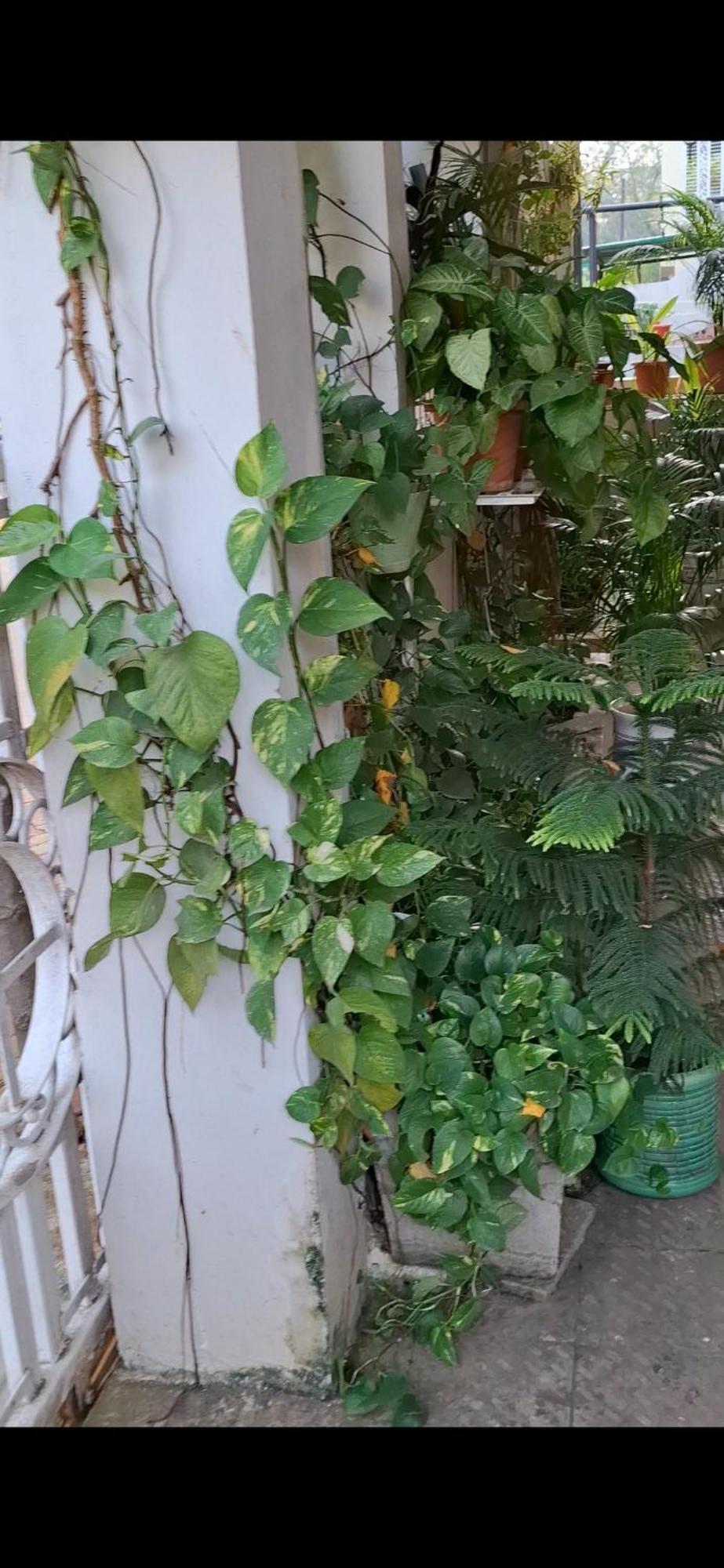 2Bhk Chandra Jyoti Villa Nit Garden Nagpur Luaran gambar