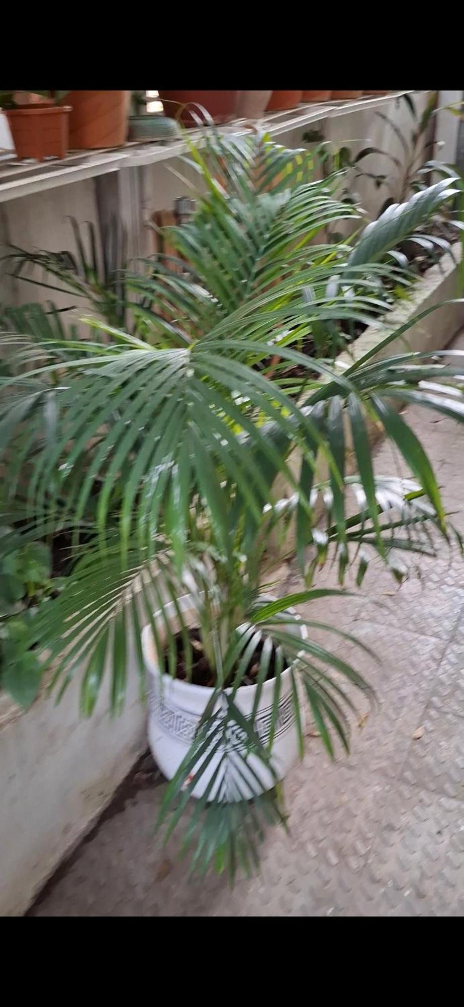 2Bhk Chandra Jyoti Villa Nit Garden Nagpur Luaran gambar