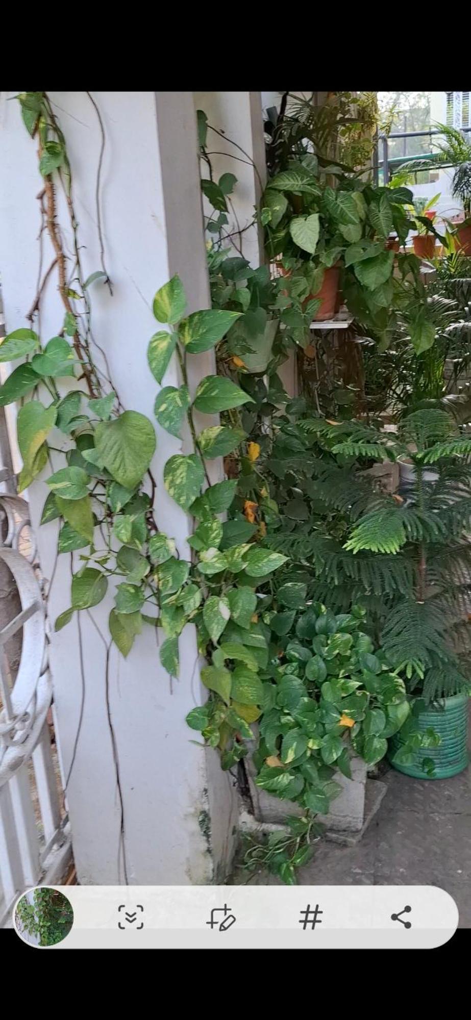 2Bhk Chandra Jyoti Villa Nit Garden Nagpur Luaran gambar
