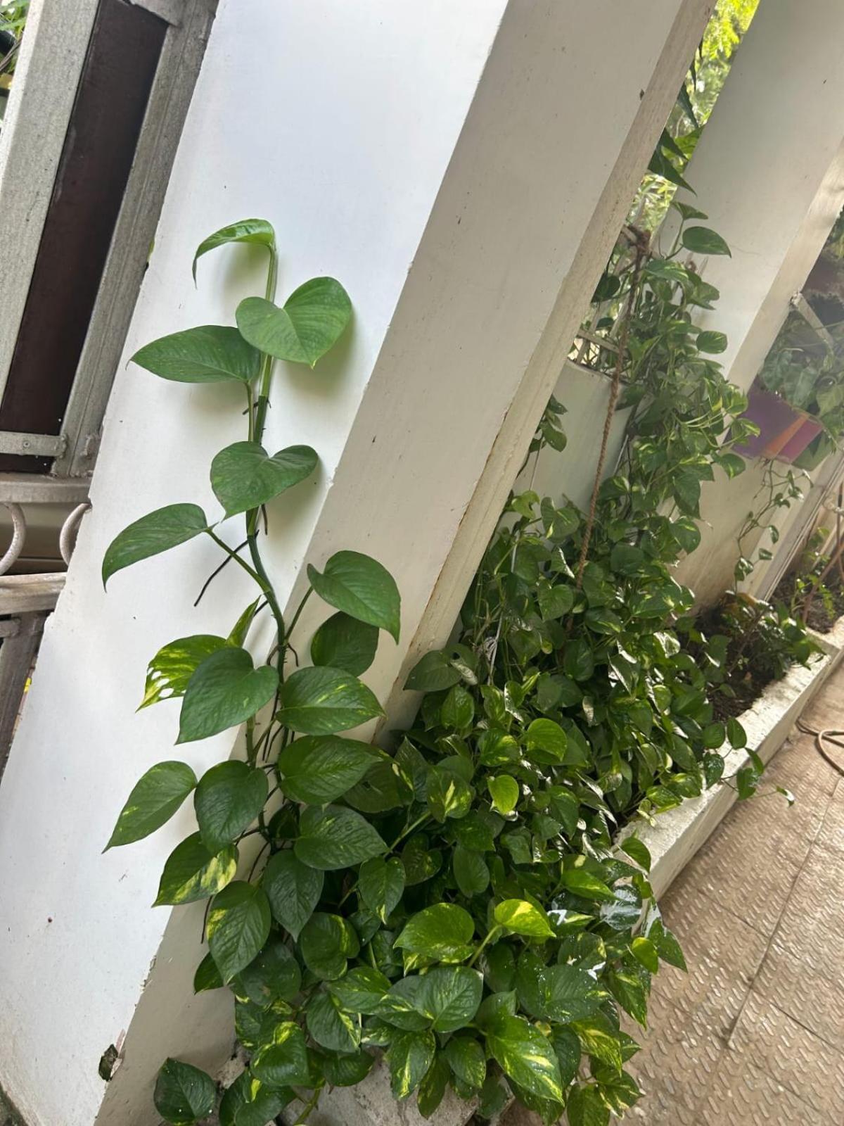 2Bhk Chandra Jyoti Villa Nit Garden Nagpur Luaran gambar